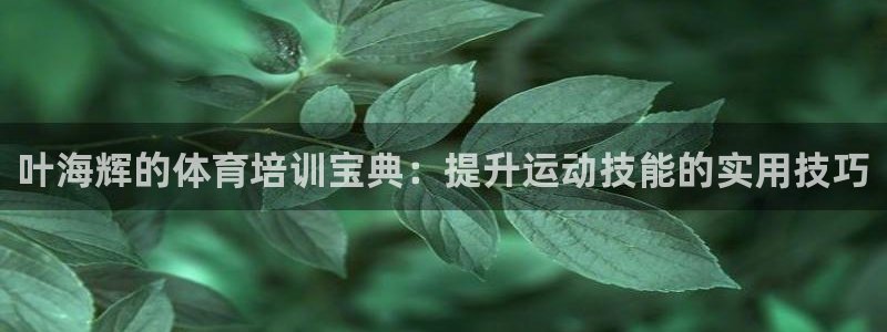 欧陆官方网站：叶海辉的体育培训宝典：提升运动技能的实