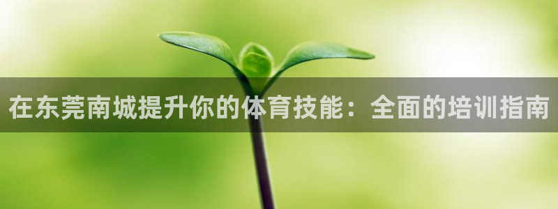 欧陆娱乐注册链接：在东莞南城提升你的体育技能：全面的