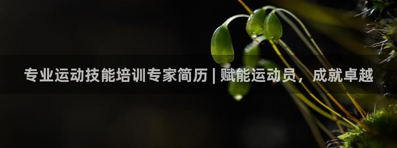 欧陆娱乐能赚钱吗：专业运动技能培训专家简历 | 赋能运动员，