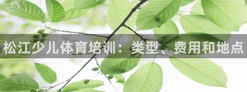 欧陆娱乐平台登陆地址是什么样的：松江少儿体育培训：类